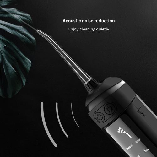 Portable Water Flosser